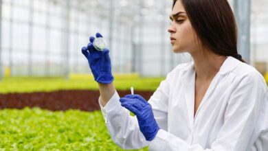Agricultural Biotechnology MCQs