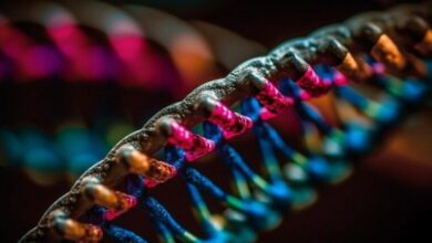 Behavioral Genetics MCQs