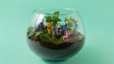 Biodiversity Conservation MCQs