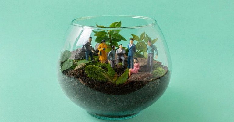 Biodiversity Conservation MCQs