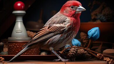 Bird Physiology MCQs