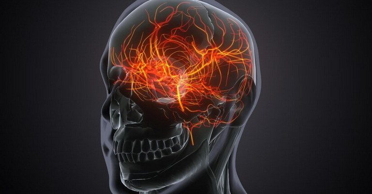 Brain Structure and Function MCQs