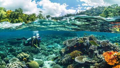 Coral Reef Ecology MCQs