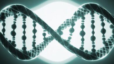 DNA Structure and Function MCQs
