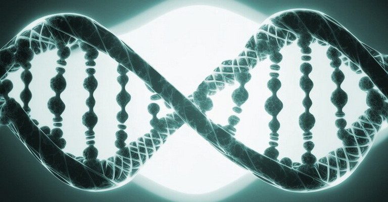 DNA Structure and Function MCQs