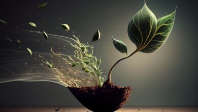 Dispersal Mechanisms MCQs