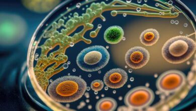 Distribution of Organisms MCQs