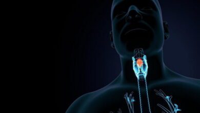 Endocrine Glands MCQs