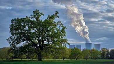 Environmental Pollution MCQs