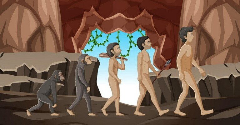 Evidence of Evolution MCQs