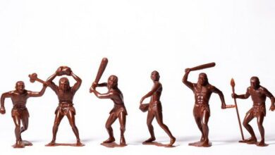 Evolutionary History MCQs