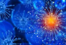 Immune Response MCQs