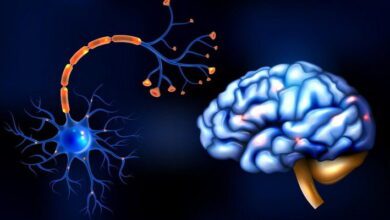 Neurophysiology MCQs