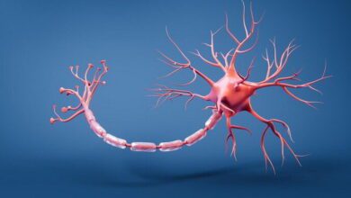 Neurotransmitters MCQs