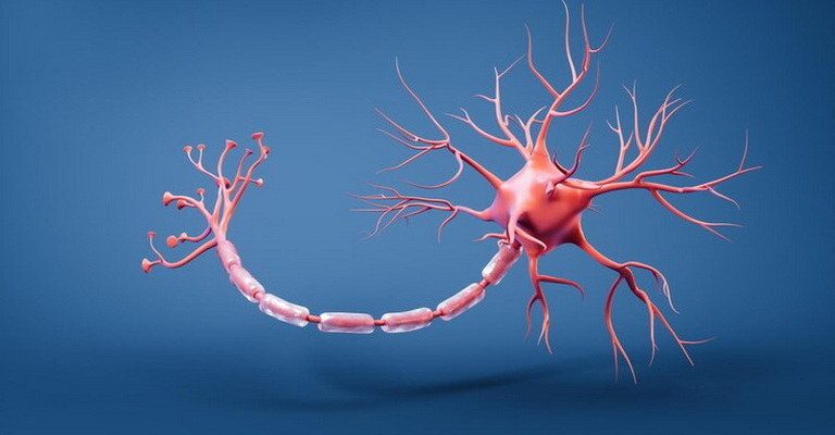 Neurotransmitters MCQs