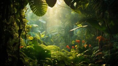 Paleoenvironments MCQs