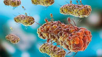 Parasite Life Cycles MCQs