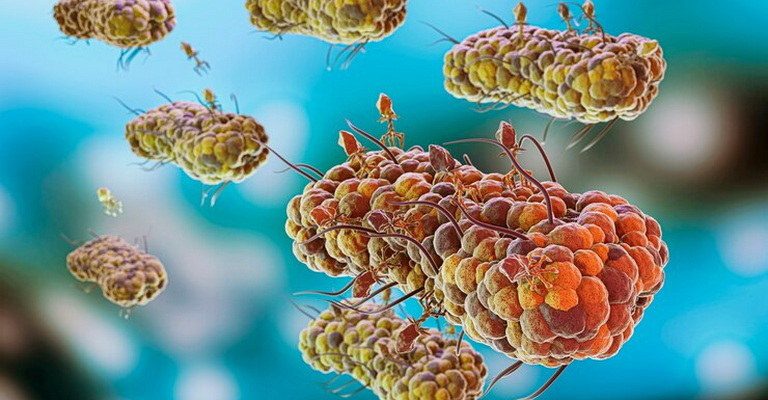 Parasite Life Cycles MCQs