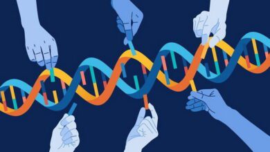 Population Genetics MCQs