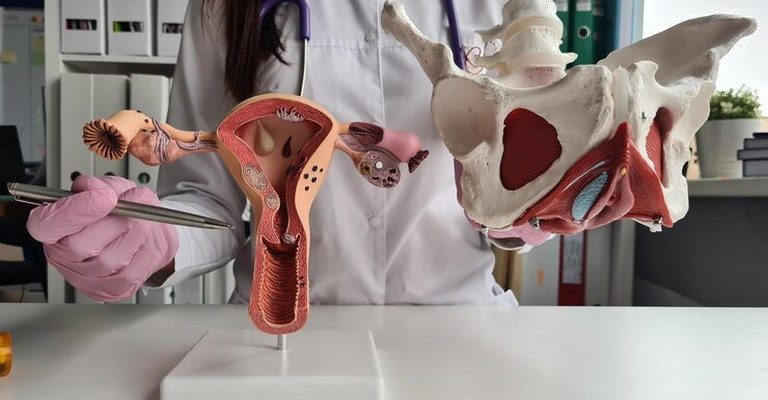 Reproductive Endocrinology MCQs