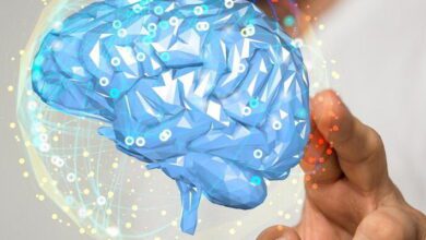 Sensory Systems MCQs