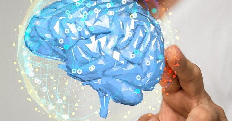 Sensory Systems MCQs