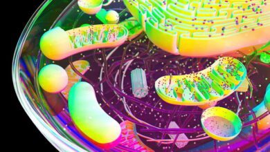 Cell Physiology MCQs