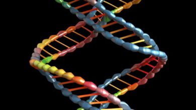Chromosome and DNA MCQs