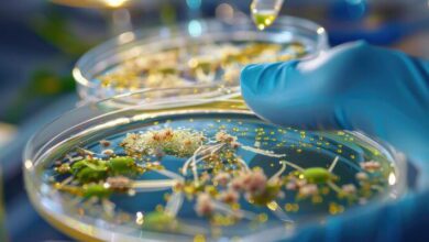 Environmental Microbiology MCQs