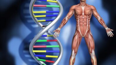 Genetics and Heredity MCQs