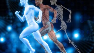 Human Anatomy and Physiology MCQs