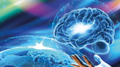 Human Neurobiology MCQs