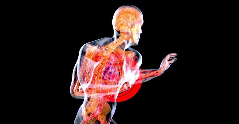 Human Physiology and Disease MCQs