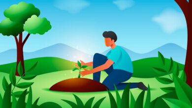 Man and His Environment MCQs