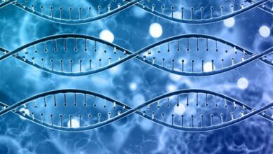 Microbial Genetics MCQs