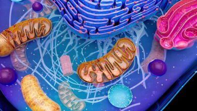 Microbial Physiology and Metabolism MCQs