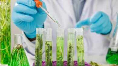 Molecular Plant Pathology MCQs