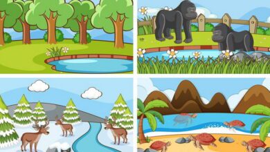 Some major Ecosystems MCQs