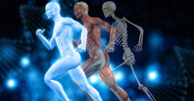 Support and Movement MCQs