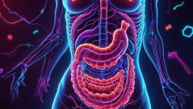 Absorption in the Small Intestine MCQs