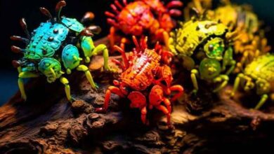 Adaptation in Organisms MCQs