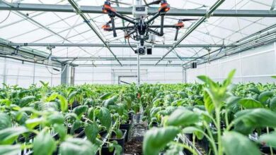 Agroforestry Systems MCQs