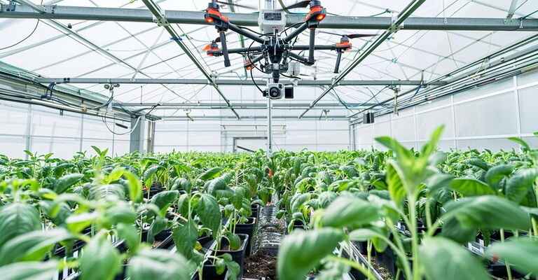 Agroforestry Systems MCQs