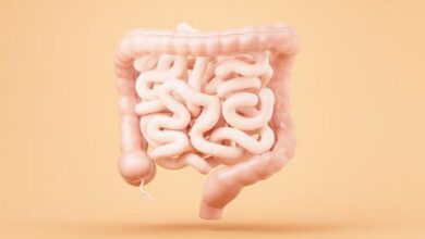 Small Intestine MCQs